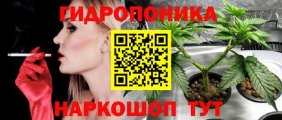 PSILOCYBIN Конаково