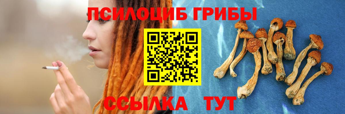 даркнет сайт  Галлюциногенные грибы MAGIC MUSHROOMS  Вход с VPN  Кингисепп  Галлюциногенные грибы Psilocybine cubensis 